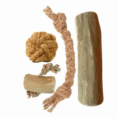 Forfait chien Pack de base XXL - Pour mâcher et jouer naturellement Forfait chien Pack de base XXL - Pour mâcher et jouer naturellement