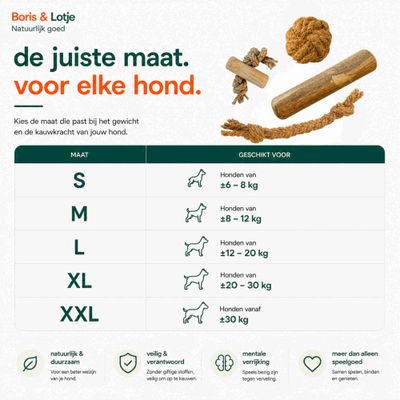 Forfait chien Pack de base XL - Mâcher et jouer naturellement