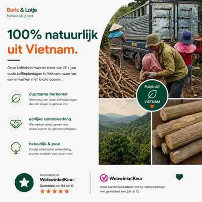 Forfait chien Pack de base XL - Mâcher et jouer naturellement Forfait chien Pack de base XL - Mâcher et jouer naturellement