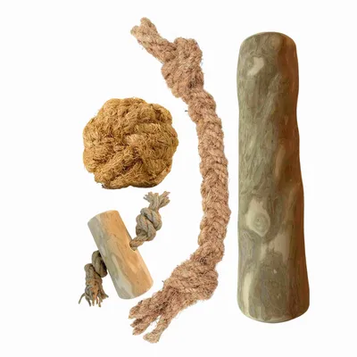 Forfait chien Pack de base XL - Mâcher et jouer naturellement Forfait chien Pack de base XL - Mâcher et jouer naturellement