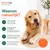 Forfait chien Pack de base S - Mâcher et jouer naturellement Forfait chien Pack de base S - Mâcher et jouer naturellement