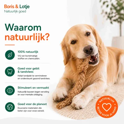 Forfait chien Pack de base S - Mâcher et jouer naturellement Forfait chien Pack de base S - Mâcher et jouer naturellement