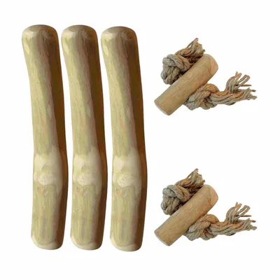 Coffret pour chiots, boîte de démarrage S, chiots de 6 à 12 kg