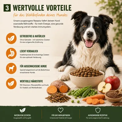 MyPetClub Insekten Trockenfutter getreidefrei
