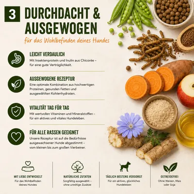 MyPetClub Insekten Trockenfutter getreidefrei