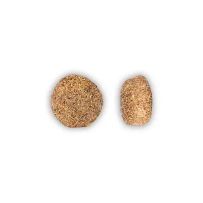 MyPetClub Vegan - vegetarisches Trockenfutter getreidefrei