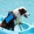 HausPets Schwimmweste Hund Reflektierend Griff HausPets Schwimmweste Hund Reflektierend Griff