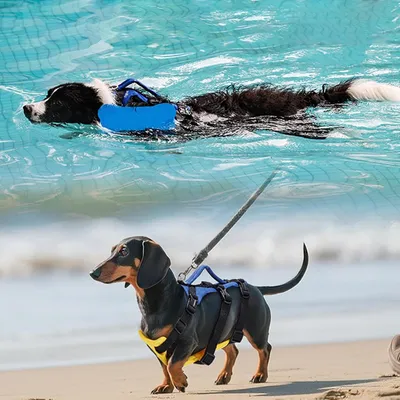 HausPets Schwimmweste Hund Reflektierend Griff HausPets Schwimmweste Hund Reflektierend Griff