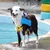 HausPets Schwimmweste Hund Reflektierend Griff HausPets Schwimmweste Hund Reflektierend Griff