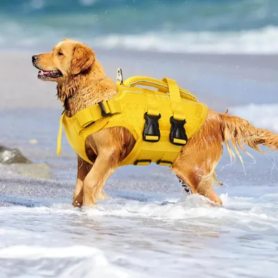HausPets Rettungsweste Hund Hochsichtbar Größe M HausPets Rettungsweste Hund Hochsichtbar Größe M