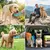 HausPets Hundeflasche 800ml Tragbar BPA-frei Trinknapf HausPets Hundeflasche 800ml Tragbar BPA-frei Trinknapf