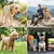 HausPets Botella de agua portátil para perros de 800 ml, libre de BPA HausPets Botella de agua portátil para perros de 800 ml, libre de BPA