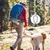 HausPets Wasserflasche Hund 350ml Antibakteriell FDA HausPets Wasserflasche Hund 350ml Antibakteriell FDA