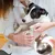 HausPets LED Krallenschneider Hund Katze USB Wiederaufladbar HausPets LED Krallenschneider Hund Katze USB Wiederaufladbar