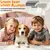 HausPets Kit Toilettage 3en1 Chien Chat Sous-poil HausPets Kit Toilettage 3en1 Chien Chat Sous-poil