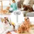 HausPets Brosse Toilettage Chien Anti Perte Double Action HausPets Brosse Toilettage Chien Anti Perte Double Action
