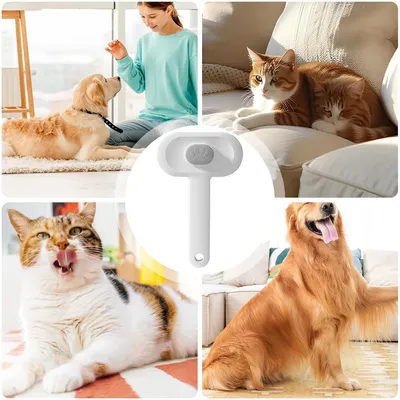 HausPets Brosse Toilettage Chien Anti Perte Double Action HausPets Brosse Toilettage Chien Anti Perte Double Action