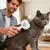 HausPets Brosse Toilettage Chien Anti Perte Double Action HausPets Brosse Toilettage Chien Anti Perte Double Action