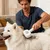 HausPets Brosse Toilettage Chien Anti Perte Double Action HausPets Brosse Toilettage Chien Anti Perte Double Action