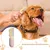 HausPets Brosse Anti Chute Chien Chat Pliable Démêlage HausPets Brosse Anti Chute Chien Chat Pliable Démêlage