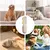 HausPets Brosse Anti Chute Chien Chat Pliable Démêlage HausPets Brosse Anti Chute Chien Chat Pliable Démêlage