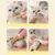 HausPets Brosse Anti Chute Chien Chat Pliable Démêlage HausPets Brosse Anti Chute Chien Chat Pliable Démêlage