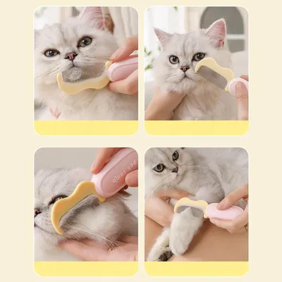 HausPets Brosse Anti Chute Chien Chat Pliable Démêlage HausPets Brosse Anti Chute Chien Chat Pliable Démêlage