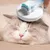 HausPets Brosse Chat Autonettoyante Démêlante Acier Inox HausPets Brosse Chat Autonettoyante Démêlante Acier Inox