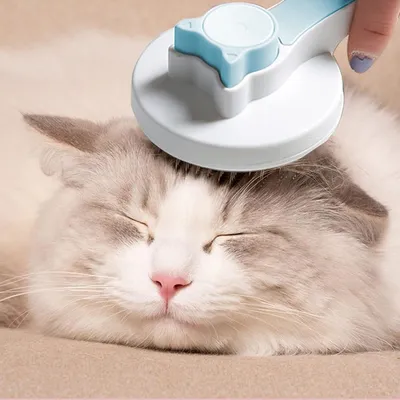 HausPets Brosse Chat Autonettoyante Démêlante Acier Inox HausPets Brosse Chat Autonettoyante Démêlante Acier Inox