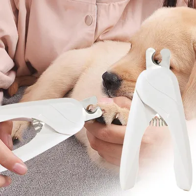 HausPets Coupe Griffes Chat Antidérapant Ergonomique Acier Inox HausPets Coupe Griffes Chat Antidérapant Ergonomique Acier Inox