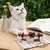 HausPets Fliegenhalsband Hund Katze Pflanzenextrakte HausPets Fliegenhalsband Hund Katze Pflanzenextrakte
