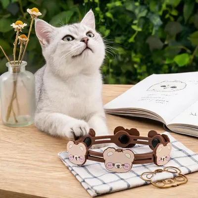 HausPets Fliegenhalsband Hund Katze Pflanzenextrakte HausPets Fliegenhalsband Hund Katze Pflanzenextrakte