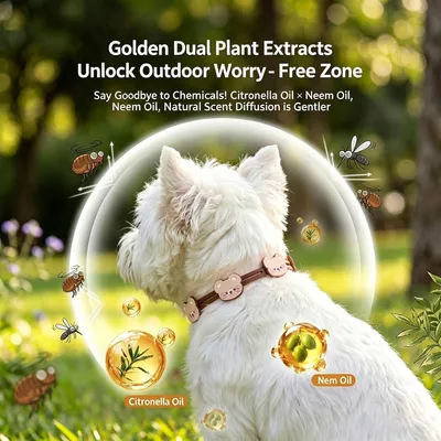 HausPets Fliegenhalsband Hund Katze Pflanzenextrakte HausPets Fliegenhalsband Hund Katze Pflanzenextrakte