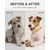 HausPets Flohhalsband Hund Katze 8 Monate 4er Set