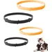 HausPets Flohhalsband Hund Katze 8 Monate 4er Set