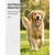 HausPets Flohhalsband Hund Katze 8 Monate 4er Set