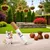 HausPets Quietschspielzeug Zigarre Hund Interaktiv HausPets Quietschspielzeug Zigarre Hund Interaktiv