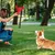 HausPets Quietschspielzeug Hummer Hund Plüsch HausPets Quietschspielzeug Hummer Hund Plüsch