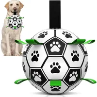HausPets Balle Interactive pour Chien avec Poignée