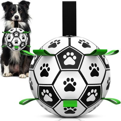 HausPets Balle Interactive pour Chien avec Poignée