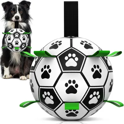 HausPets Interaktiver Hundeball mit Griff HausPets Interaktiver Hundeball mit Griff