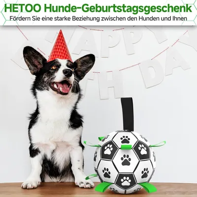HausPets Interaktiver Hundeball mit Griff HausPets Interaktiver Hundeball mit Griff