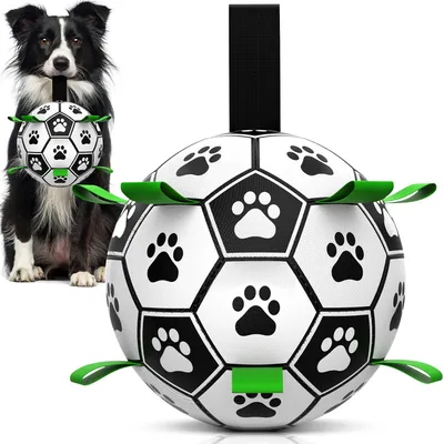 HausPets Pelota interactiva para perros con asa