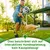 HausPets Interaktiver Hundeball mit Griff HausPets Interaktiver Hundeball mit Griff
