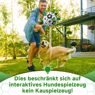 HausPets Interaktiver Hundeball mit Griff HausPets Interaktiver Hundeball mit Griff