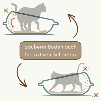 Katzenklo mit Rand Katzenklo Offen Katzentoilette hoch Schalentoilette Katzenklo mit Rand Katzenklo Offen Katzentoilette hoch Schalentoilette