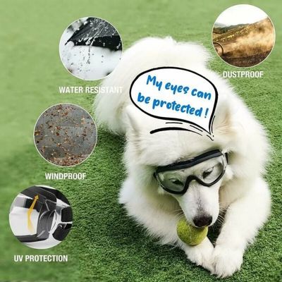 Pawffee Gafas impermeables antiviento para perros grandes