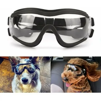 Pawffee Gafas impermeables antiviento para perros grandes Pawffee Gafas impermeables antiviento para perros grandes