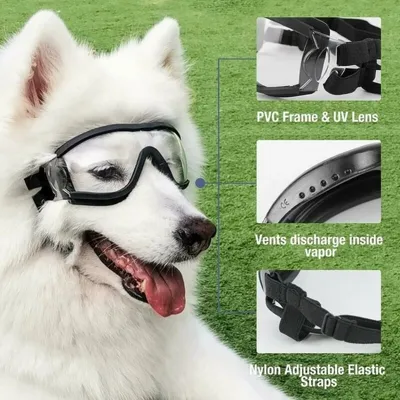 Pawffee Gafas impermeables antiviento para perros grandes Pawffee Gafas impermeables antiviento para perros grandes