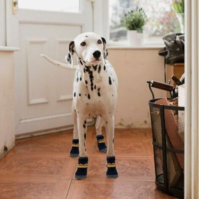 Pawffee 4 calcetines antideslizantes para perros (2 pares) con correas